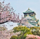 Vivre, étudier et travailler au Japon